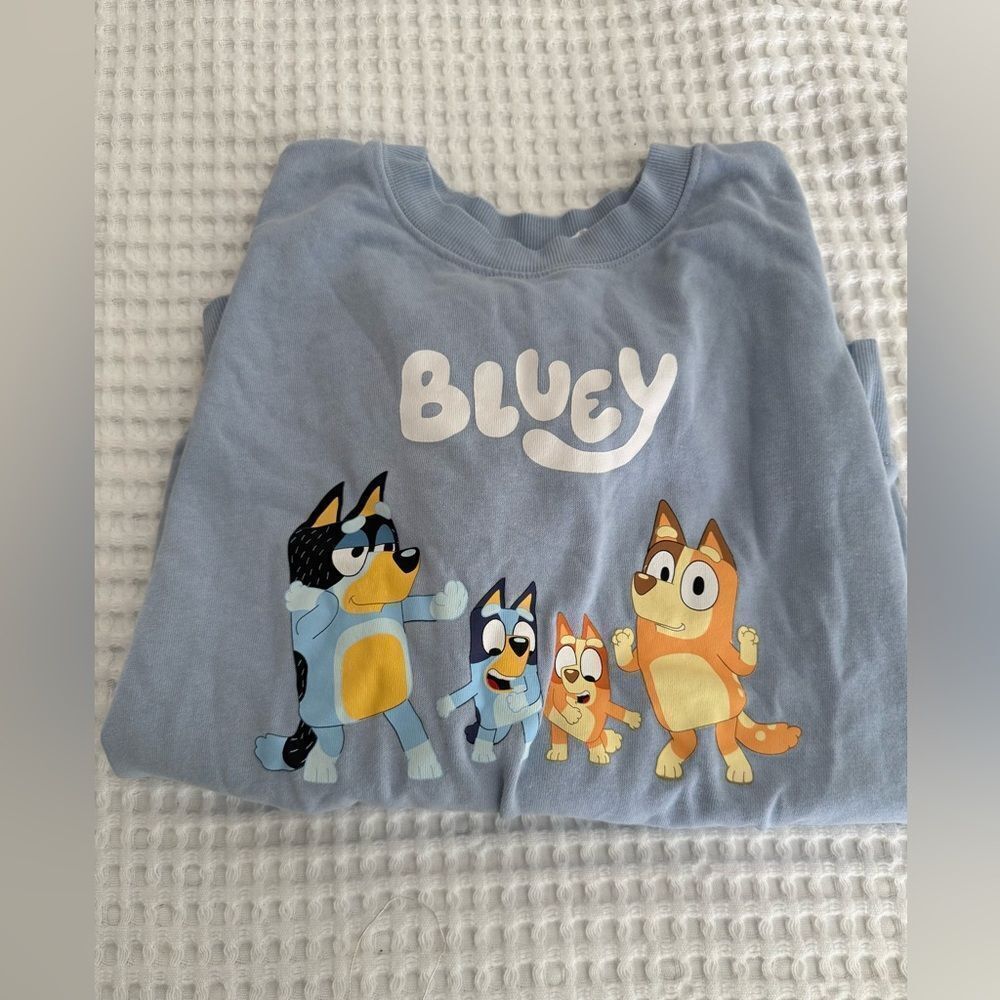 Bluey Family Light Blue Sweatshirt